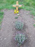 image of grave number 407183